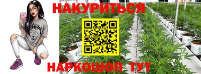spice Кандалакша
