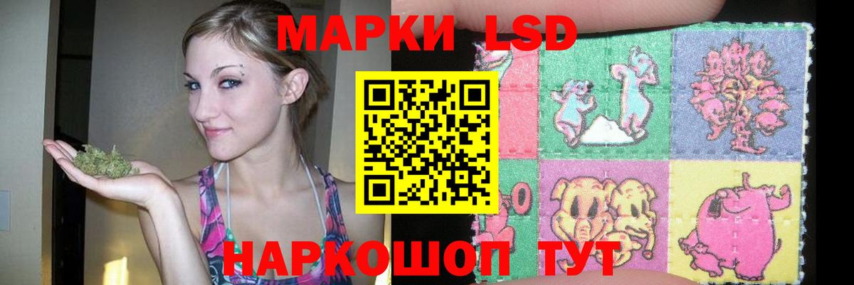 ЛСД экстази кислота Лесной