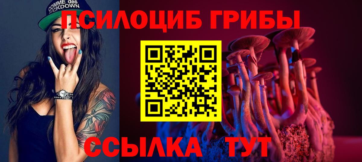 Галлюциногенные грибы мицелий  Вход с VPN  где найти   Псилоцибиновые грибы MAGIC MUSHROOMS  Лесной 