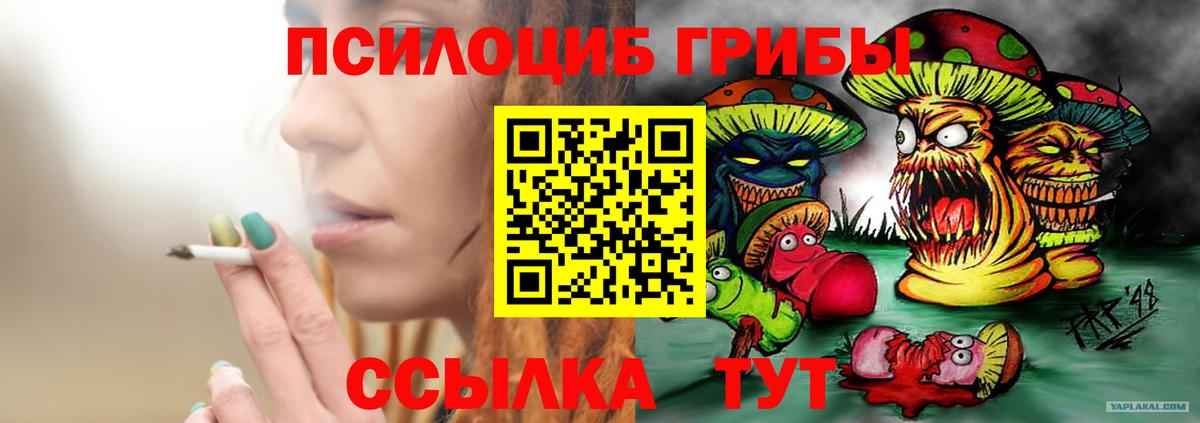 Псилоцибиновые грибы ЛСД Лесной